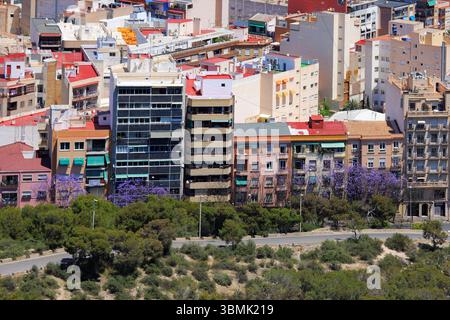 Panoramablick auf die Stadt Alicante mit Stierkampfarena, städtischen Gebäuden und Bergen im Hintergrund unter klarem Himmel. Stockfoto