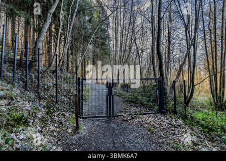 Ein asphaltierter Weg durch ein bewaldetes Gebiet mit einem geschlossenen schwarzen Metalltor. Die Umgebung ist frisch, mit Bäumen und natürlichem Unterholz gefüllt Stockfoto