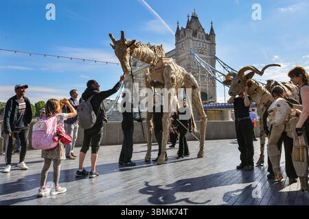 London, Großbritannien. Juni 2025. Die Darsteller laufen vom Bridge Theatre zur Themse mit der Tower Bridge und der City of London. DIE HERDEN sind öffentliche Kunst und Klimaschutz. Von April bis August 2025 fahren lebensgroße Puppentiere auf einer 000 km langen Route vom Kongo-Becken zum Polarkreis, was ihren Flug vor der Klimakatastrophe symbolisiert und in vielen Städten und Ländern hält. Quelle: Imageplotter/Alamy Live News Stockfoto