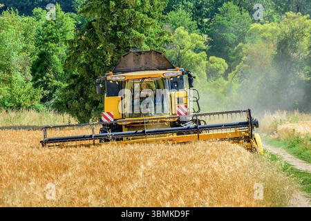 New Holland CX8080 Mähdrescher im Weizenfeld - Bossay-sur-Claise, Indre-et-Loire (37), Frankreich. Stockfoto