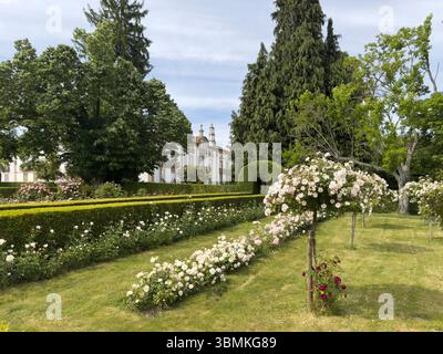Mateus Palast und Rosengärten, Vila Real, Portugal Stockfoto