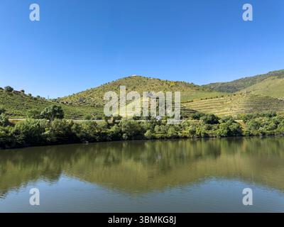 Terrassen-Weinberge am Ufer des Flusses Douro, Portugal Stockfoto
