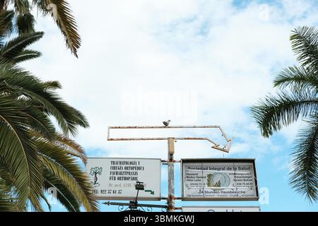 Straßenszenen in Puerto de la Cruz, Teneriffa. Stockfoto
