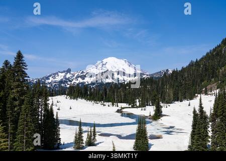 Mount Rainier, vom Tipsoo Lake, im Nationalpark, Frühsommer mit Schnee und Eis übrig. Bundesstaat Washington, USA Stockfoto