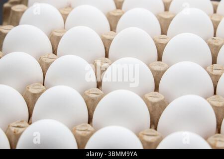 Weiße Hühnereier in der Pappe Eierschale mit Räumen für 30 Eier isoliert auf weißem Hintergrund Stockfoto