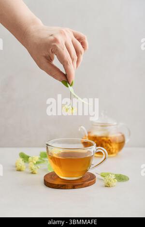 Glasschale Lindentee und weibliche Hand, die Lindenblume über Tasse auf hellem Hintergrund hält Stockfoto