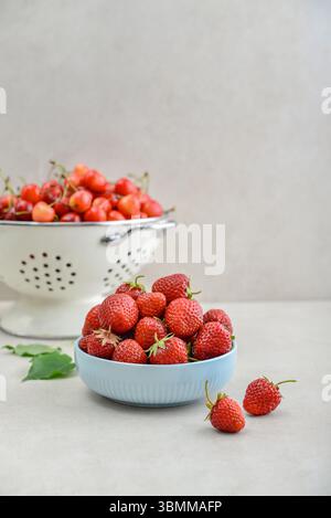 Reife Erdbeeren in einer blauen Schüssel und ein weißes Emailsieb voller süßer Kirschen auf hellem Hintergrund Stockfoto