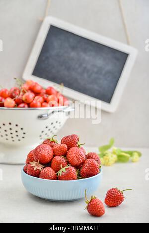 Reife Erdbeeren in einer blauen Schüssel und ein weißes Emailsieb voller süßer Kirschen mit gerahmter Tafel auf hellem Hintergrund Stockfoto