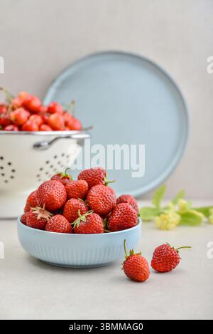 Reife Erdbeeren in einer blauen Schüssel und ein weißes Emailsieb voller süßer Kirschen auf hellem Hintergrund Stockfoto