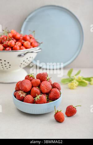 Reife Erdbeeren in einer blauen Schüssel und ein weißes Emailsieb voller süßer Kirschen auf hellem Hintergrund Stockfoto