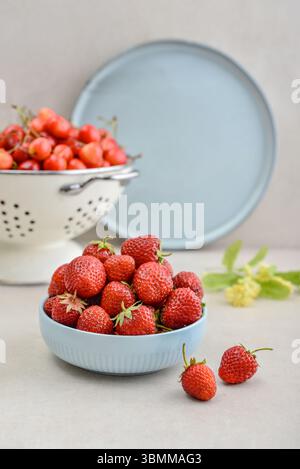 Reife Erdbeeren in einer blauen Schüssel und ein weißes Emailsieb voller süßer Kirschen auf hellem Hintergrund Stockfoto