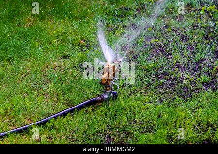 Nahaufnahme eines rotierenden Rasenregners in einem Hinterhof, der den Rasen besprüht Stockfoto