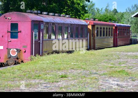 Alte bunte Zugwagen stehen auf rostigen Gleisen an einem bewachsenen, grasbewachsenen Bahnhof. Vergessene Eisenbahnszene, die an Nostalgie, Verfall und Geschichte erinnert Stockfoto