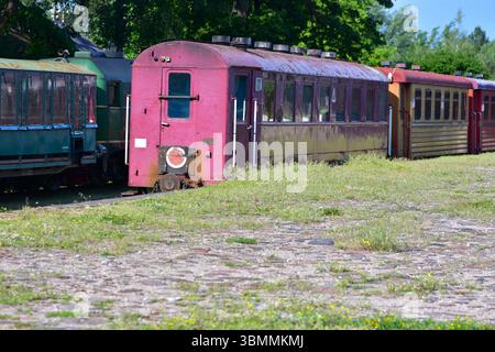 Alte bunte Zugwagen stehen auf rostigen Gleisen an einem bewachsenen, grasbewachsenen Bahnhof. Vergessene Eisenbahnszene, die an Nostalgie, Verfall und Geschichte erinnert Stockfoto