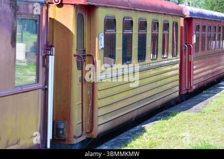 Alte bunte Zugwagen stehen auf rostigen Gleisen an einem bewachsenen, grasbewachsenen Bahnhof. Vergessene Eisenbahnszene, die an Nostalgie, Verfall und Geschichte erinnert Stockfoto