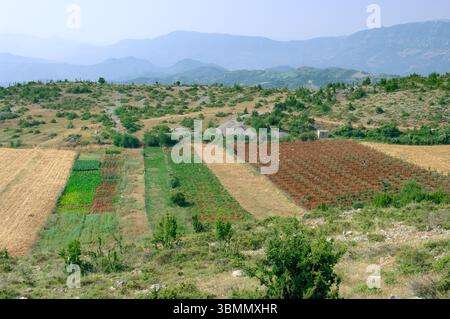 Landwirtschaftliche Landschaft mit Bergen auf dem Hintergrund bei Permet im Süden Albaniens (2) Stockfoto