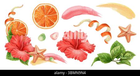 Set aus Orangenscheibe und Hibiskusblüte im realistischen Aquarellstil. Seesterne mit Pinselstrich und Strandelementen bilden eine lebhafte tropische Ecke Stockfoto
