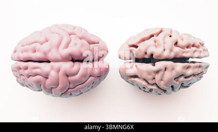 Abbildung: Vergleich eines gesunden Gehirns (links) und eines von Alzheimer betroffenen Gehirns (rechts). Alzheimer-betroffene Gehirne zeigen in Hirnregionen, insbesondere in der Großhirnrinde und im Hippocampus, eine spürbare Schrumpfung und Atrophie. Stockfoto