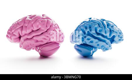 Abbildung: Vergleich eines gesunden Gehirns (links) und eines von Alzheimer betroffenen Gehirns (rechts). Alzheimer-betroffene Gehirne zeigen in Hirnregionen, insbesondere in der Großhirnrinde und im Hippocampus, eine spürbare Schrumpfung und Atrophie. Stockfoto