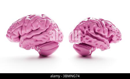 Abbildung: Vergleich eines gesunden Gehirns (links) und eines von Alzheimer betroffenen Gehirns (rechts). Alzheimer-betroffene Gehirne zeigen in Hirnregionen, insbesondere in der Großhirnrinde und im Hippocampus, eine spürbare Schrumpfung und Atrophie. Stockfoto