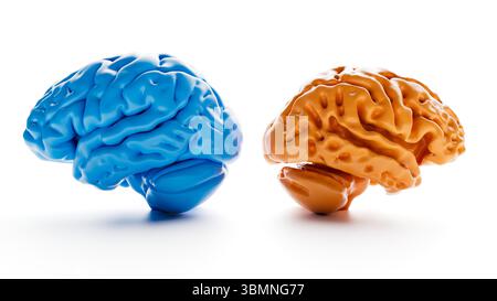 Abbildung: Vergleich eines gesunden Gehirns (links) und eines von Alzheimer betroffenen Gehirns (rechts). Alzheimer-betroffene Gehirne zeigen in Hirnregionen, insbesondere in der Großhirnrinde und im Hippocampus, eine spürbare Schrumpfung und Atrophie. Stockfoto