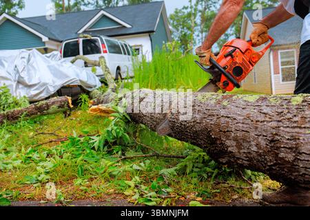 Arbeiter schneidet nach einem Sturm einen umgestürzten Baum mit einer Kettensäge in einem Vorort ab Stockfoto