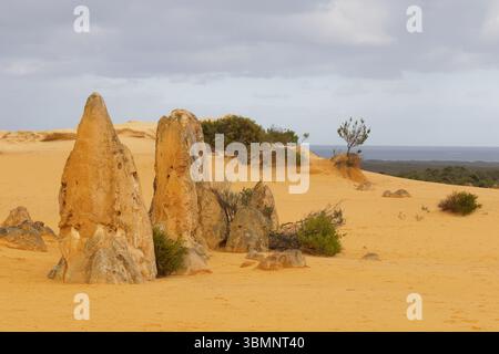 Die Pinnacles, natürliche Felsformationen und Touristenattraktion im Nambung National Park, nördlich von Perth, Western Australia, Australien Juni 2025 Stockfoto