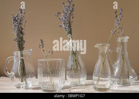 Getrocknete Lavendelblüten in Glasvase auf neutralbeigem Hintergrund. Minimales Öko-Konzept für Stillleben. Minimalistische Inneneinrichtung mit Lavendelblumen. E Stockfoto