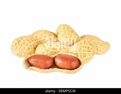 Erdnussbohnen, Nahaufnahme, isoliert auf weißem Hintergrund. Stockfoto