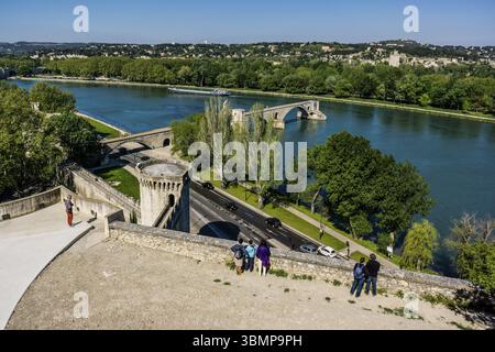 Gärten des Doms und der Saint-Benezet-Brücke, Palast der Päpste, Avignon, Frankreich, Europa Stockfoto
