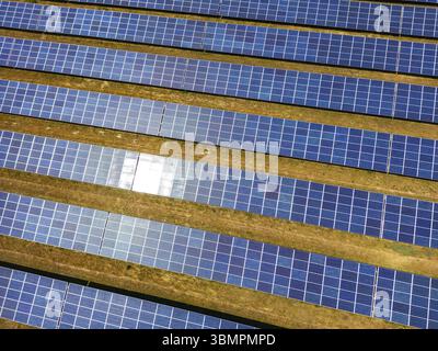Nahaufnahme eines Solarkraftwerks, das an einem sonnigen Tag Solarstrom über viele Reihen von Solarpaneelen erzeugt, Deutschland, Europa Stockfoto