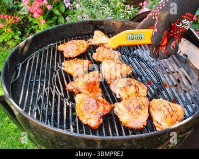 Lebensmittelsicherheit – Überprüfen der richtigen Temperatur mit dem digitalen Thermometer für BBQ-Hühnerschenkel im Garten an warmen Sommertagen Stockfoto