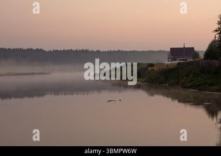 Rauch von Nebel über dem Teich. Morgennebel über dem Teich Stockfoto
