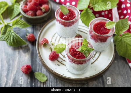 Gesundes Frühstück. Glasgläser mit Chia-Pudding mit Himbeere und Marmelade oder Smoothies mit Chiasamen auf rustikalem Tisch Stockfoto