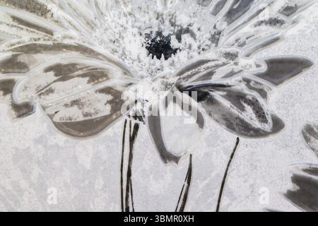 Marmor Blumenmuster Oberfläche Dekoratives Design Textur. Abstrakter Kunsthintergrund. Vintage-Effekt Stockfoto