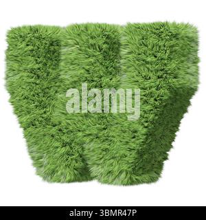 Kräutergras-Alphabet, Großbuchstabe W, im Uhrzeigersinn gedreht. Isoliert auf weißer 3D-Illustration Stockfoto