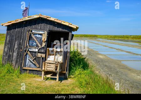 Salzproduktion auf der Île de Ré, Charente-Maritime, Frankreich Stockfoto