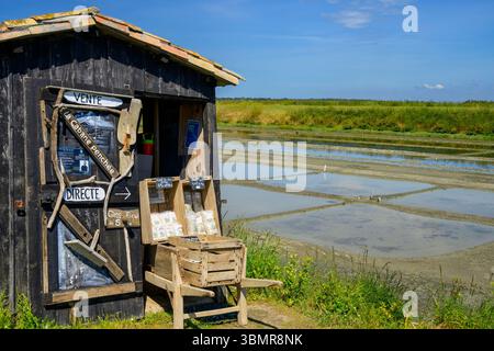Salzproduktion auf der Île de Ré, Charente-Maritime, Frankreich Stockfoto