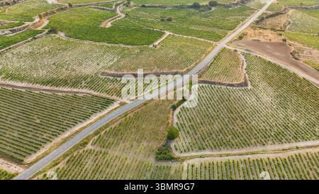 Wunderschöne Landstraße durch die Weinberge im Baskenland, Spanien Stockfoto