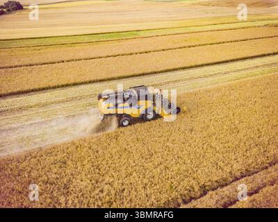 Luftansicht des Mähdreschers Harvesting Wheat. Mähdrescher arbeiten auf dem großen Weizenfeld Stockfoto