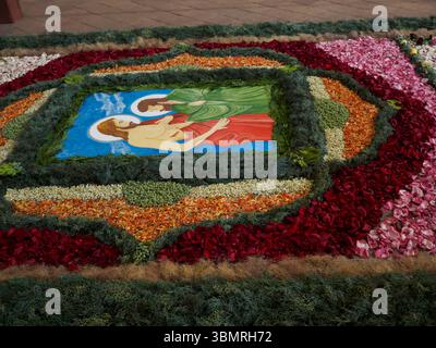 Alseno, Italien 22. Juni 2025 wunderschöner Blumenteppich, der die Absetzung Christi darstellt. Geschaffen für das Corpus Domini-fest in Chiaravalle della Colo Stockfoto