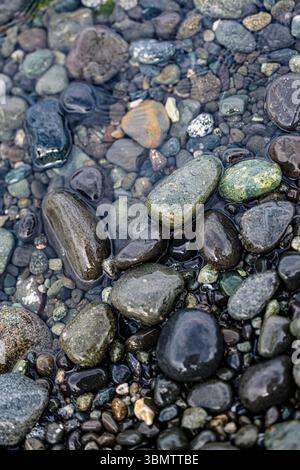 Farbenfrohe, nasse Steine glitzern am Meeresufer, während die Flut zurückgeht, mit glatten, lebendigen Texturen und natürlichen Mustern. Stockfoto