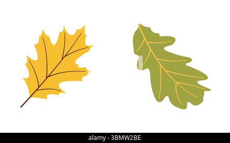 Herbst Ernte flache Vektorelemente grünes Blatt, gelbes Blatt für Herbst Designs Stock Vektor