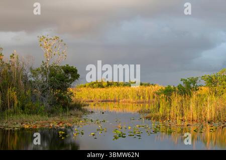 Sonnenuntergang im März im Everglades National Park, Florida. Stockfoto