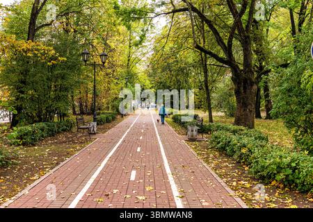 Herbstlandschaft der Gasse im Lenin Park in Vyborg Stockfoto