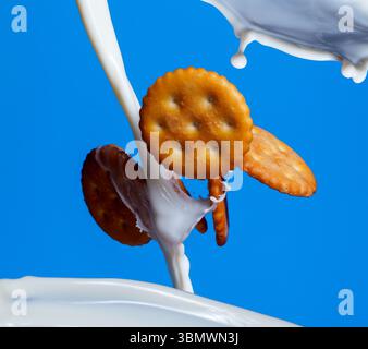 Goldene Kekse, die mitten in der Luft durch die Milch spritzen, vor einem leuchtend blauen Hintergrund. Dynamische Studioaufnahme mit süßen Snacks in Bewegung. Keine Personen Stockfoto