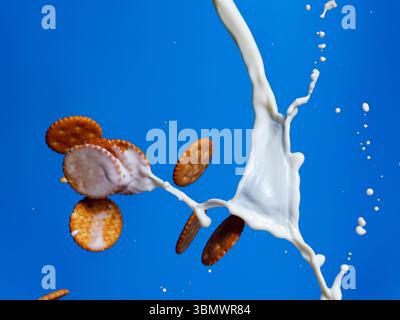 Goldene Kekse, die mitten in der Luft durch die Milch spritzen, vor einem leuchtend blauen Hintergrund. Dynamische Studioaufnahme mit süßen Snacks in Bewegung. Keine Personen Stockfoto