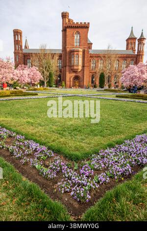 Das Smithsonian Castle sieht im Frühling wunderschön aus. Stockfoto