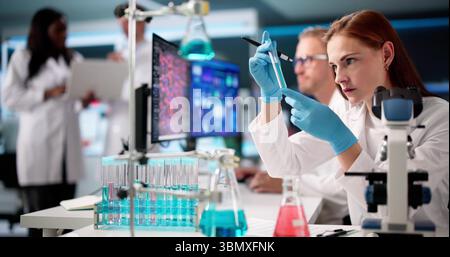Multirassische Ärzte Im Labor, Die Daten Auf Computerbildschirmen Gemeinsam Analysieren Stockfoto