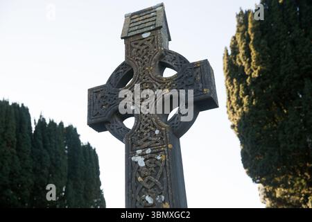 Niedrigwinkelansicht des Friedhofs durch Bäume Stockfoto